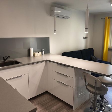 Comfortable Studio Only 20 Minutes From International Conference Center Katowice Best Place For Wuf2022 Eec Tnf Off Etc เชียเมโนวิเซ สลอสเก ภายนอก รูปภาพ