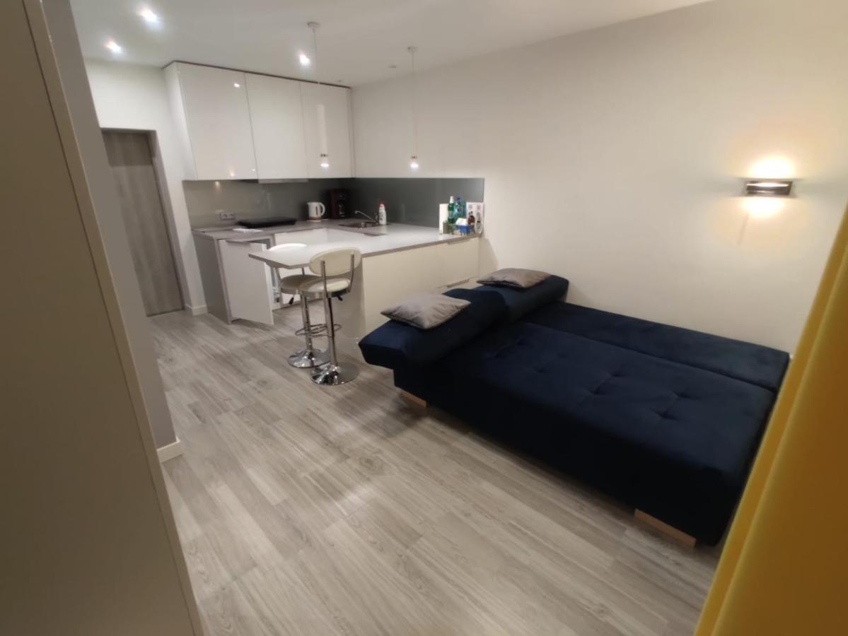 Comfortable Studio Only 20 Minutes From International Conference Center Katowice Best Place For Wuf2022 Eec Tnf Off Etc เชียเมโนวิเซ สลอสเก ภายนอก รูปภาพ